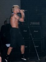 [rhcp5s.jpg]