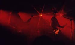 [clan.of.xymox1s.jpg]