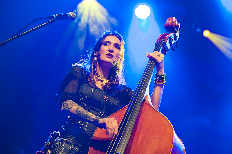 The Dread Crew of Oddwood - koncert: The Dread Crew of Oddwood, Wrocław 'A2' 16.01.2026