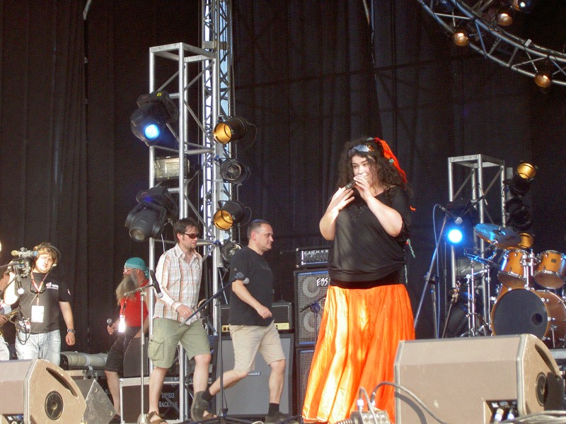 koncert: Przystanek Woodstock 2007, Kostrzyn 4.08.2007