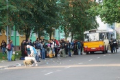 'Przystanek Woodstock 2009' - zdjęcia fanów część 1 - Kostrzyn 31.07.2009