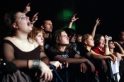 Carrion - koncert: Carrion, Totentanz, Mindfield, Kraków 'Rotunda' 14.10.2010