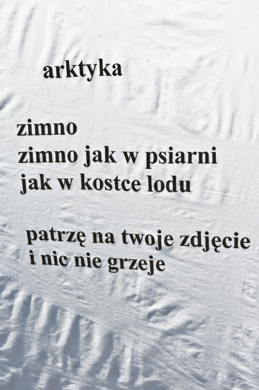 koncert: Akademia Sztuk Przepięknych ('Przystanek Woodstock 2010'), Kostrzyn nad Odrą 30.07-1.08.2010