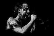 Kir - koncert: Kir, Chorzów 'Leśniczówka' 3.04.2025