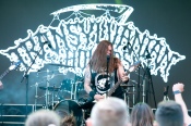 Transylvanian Hounds - koncert: Transylvanian Hounds ('Thunder Fest'), Bytów 12.09.2026 Transylvanian Hounds - koncert: Transylvanian Hounds ('Thunder Fest'), Bytów 12.09.2026