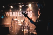 Whalesong - koncert: Whalesong, Warszawa 'Hydrozagadka' 13.12.2023