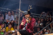 Jelonek - koncert: Jelonek ('Przystanek Woodstock 2014'), Kostrzyn nad Odrą 2.08.2014