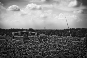 'Przystanek Woodstock 2011', zdjęcia z imprezy część 2, Kostrzyn nad Odrą 4-6.08.2011