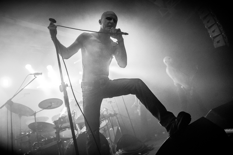 Massemord - koncert: Massemord, Kraków 'Fabryka' 21.12.2014