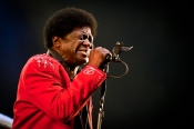 Charles Bradley - koncert: Charles Bradley ('Off Festival 2012'), Katowice 3.08.2012