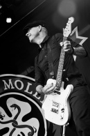 Flogging Molly - koncert: Flogging Molly ('Rock For People 2012'), Hradec Kralove 5.07.2012