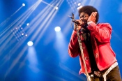 Charles Bradley - koncert: Charles Bradley ('Off Festival 2012'), Katowice 3.08.2012