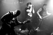 Insane - koncert: Insane ('Silesian Core Attack'), Katowice 'Mega Club' 15.05.2011