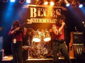 Nocna Zmiana Bluesa - koncert: XV Toruń Blues Meeting, dzień pierwszy