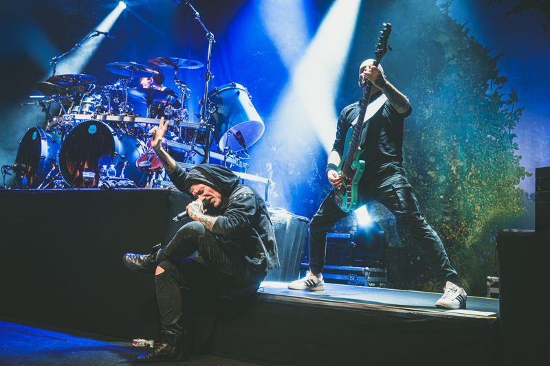 Eluveitie - koncert: Eluveitie, Kraków 'Studio' 4.02.2025