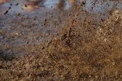 'Przystanek Woodstock 2009' - zdjęcia fanów część 2 - Kostrzyn 1.08.2009