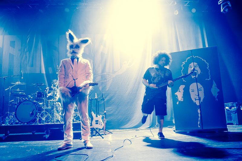 Frog Leap - koncert: Frog Leap, Warszawa 'Progresja Music Zone' 25.04.2019