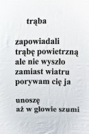 Akademia Sztuk Przepięknych ('Przystanek Woodstock 2010'), Kostrzyn nad Odrą 30.07-1.08.2010