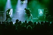 Owls Woods Graves - koncert: Owls Woods Graves, Kraków 'Hype Park' 20.11.2025