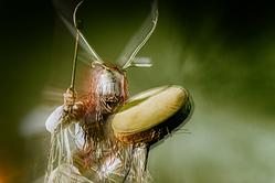 zdjęcia Heilung, Wrocław 'Hala Stulecia' 10.07.2025