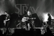 The Stray - koncert: The Stray, Warszawa 'Stodoła' 19.11.2010