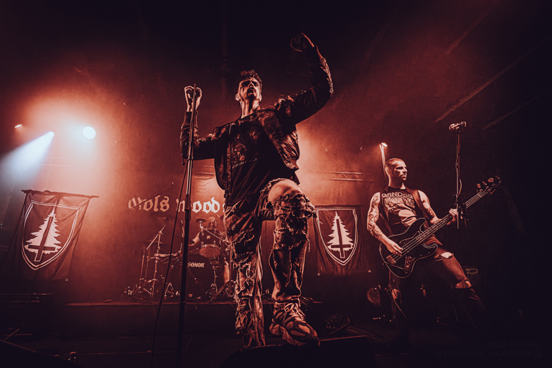 Owls Woods Graves - koncert: Owls Woods Graves, Kraków 'Hype Park' 20.11.2025