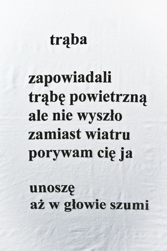 koncert: Akademia Sztuk Przepięknych ('Przystanek Woodstock 2010'), Kostrzyn nad Odrą 30.07-1.08.2010