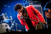 Charles Bradley - koncert: Charles Bradley ('Off Festival 2012'), Katowice 3.08.2012