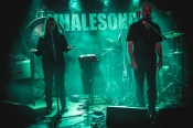 Whalesong - koncert: Whalesong, Warszawa 'Hydrozagadka' 13.12.2023