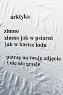 Akademia Sztuk Przepięknych ('Przystanek Woodstock 2010'), Kostrzyn nad Odrą 30.07-1.08.2010