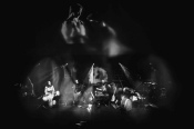 Percival - koncert: Percival, Gdańsk 'Teatr Szekspirowski' 16.02.2017