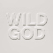 Nick Cave And The Bad Seeds "Wild God"
