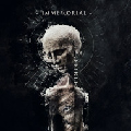 recenzja Immemorial Rebirth