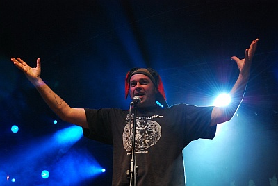 Armia - 'Jarocin Festiwal 2009', fot. Lazarroni