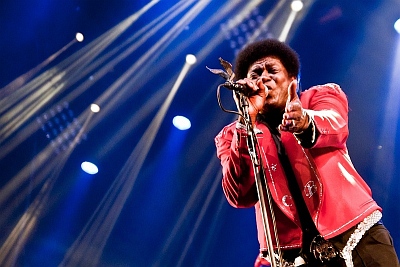 Charles Bradley, Katowice 3.08.2012, fot. Verghityax