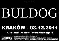 Plakat - Buldog