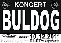 Plakat - Buldog