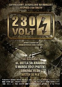 Plakat - 230 Volt