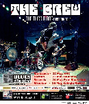 Koncert The Brew