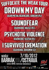 Plakat - Drown My Day, Soundfear, Psychotic Violence