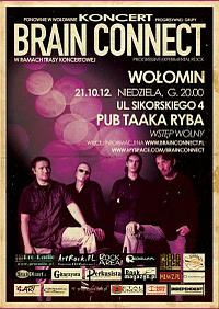 Plakat - Brain Connect