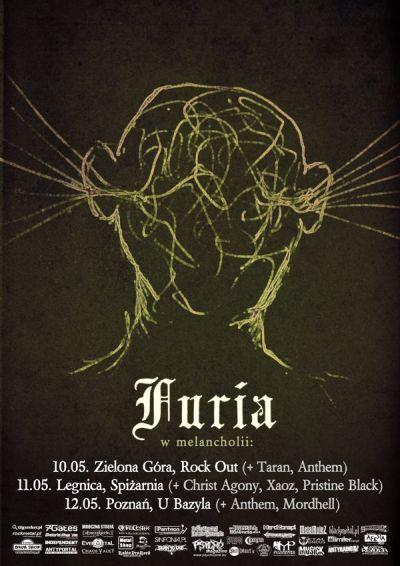 Plakat - Furia, Taran, Anthem