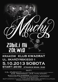 Plakat - Muchy, Zabili mi żółwia