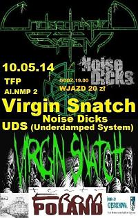 Plakat - Virgin Snatch, Noise Dicks, Underdamped System