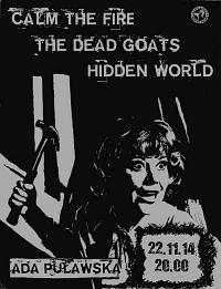 Plakat - The Dead Goats, Calm The Fire, Hidden World