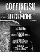 Koncert Coffinfish, Hegemone, Ayden