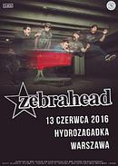 Koncert Zebrahead