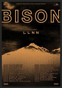 Plakat - Bison BC, LLNN, Only Sons