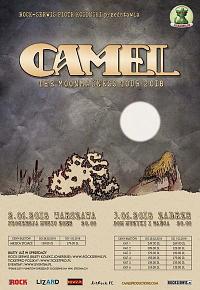 Plakat - Camel