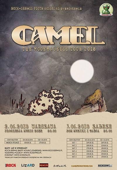 Plakat - Camel